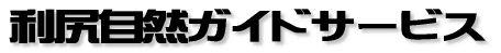 ���K���R�K�C�h�T�[�r�X 